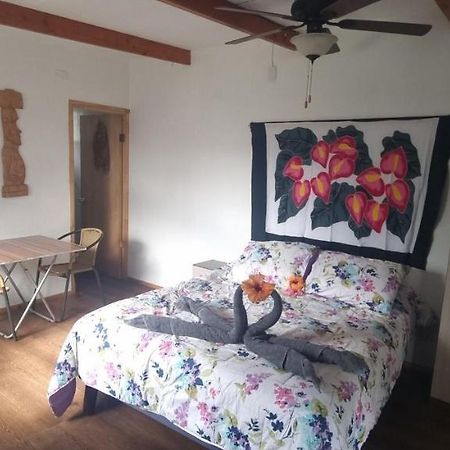 Hostal Henua Roa 2 Apartment Hanga Roa Luaran gambar