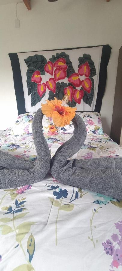 Hostal Henua Roa 2 Apartment Hanga Roa Luaran gambar