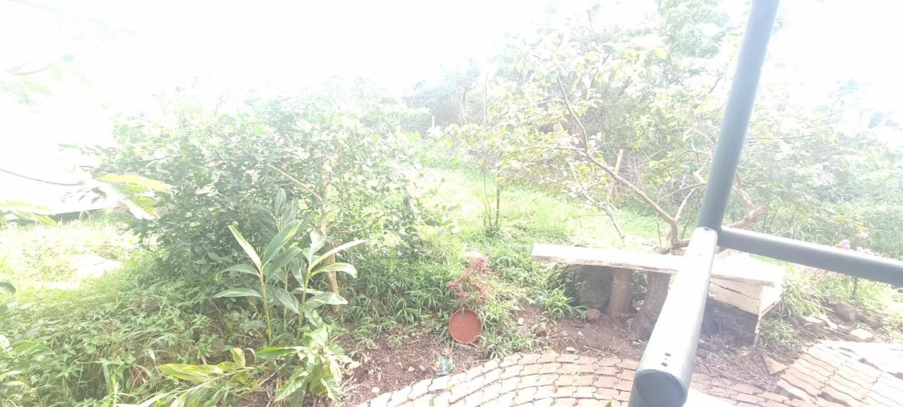 Hostal Henua Roa 2 Apartment Hanga Roa Luaran gambar