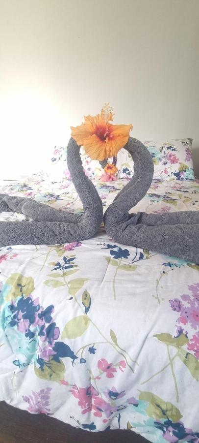 Hostal Henua Roa 2 Apartment Hanga Roa Luaran gambar