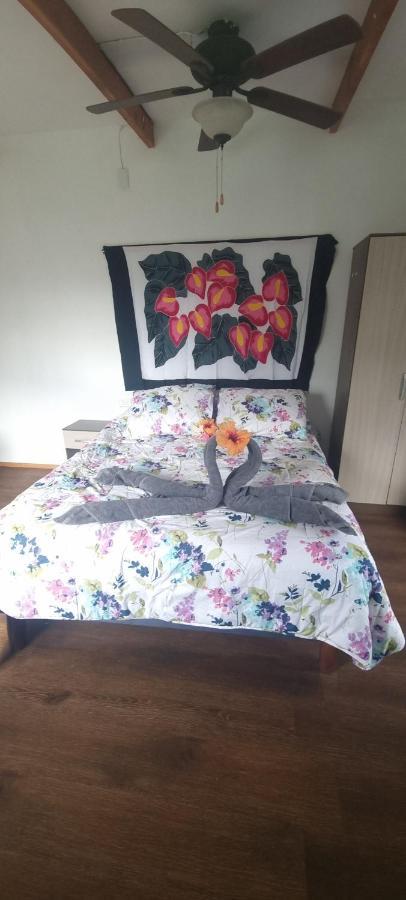 Hostal Henua Roa 2 Apartment Hanga Roa Luaran gambar