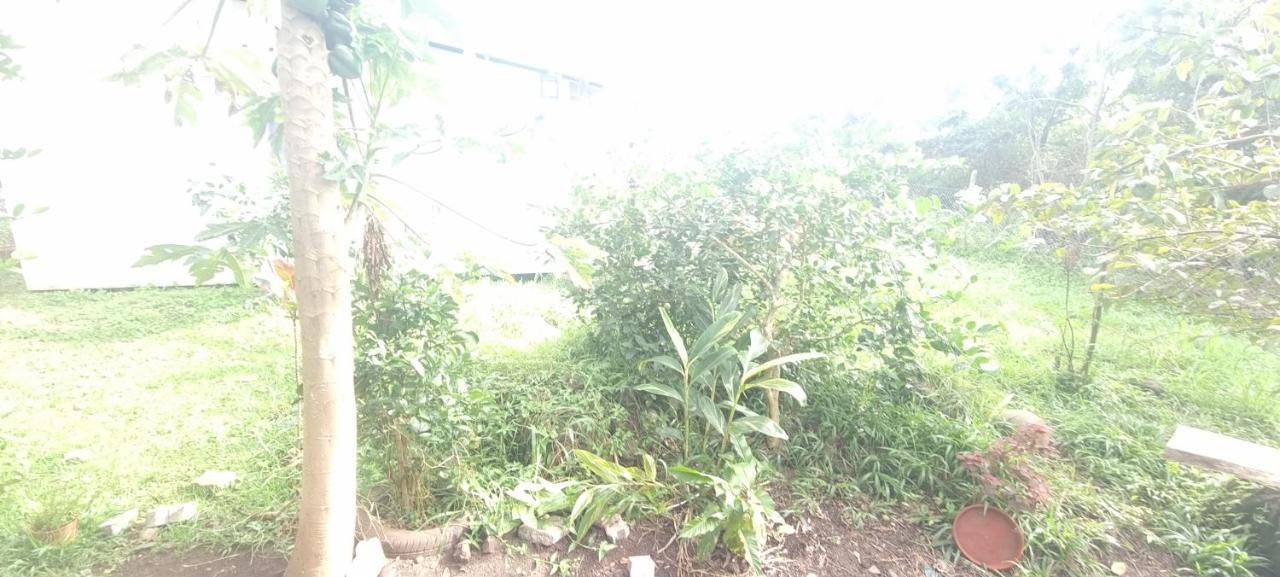 Hostal Henua Roa 2 Apartment Hanga Roa Luaran gambar